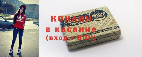 сатива Армянск