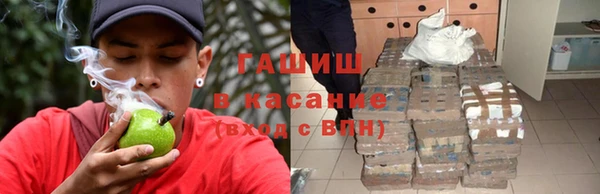 сатива Армянск