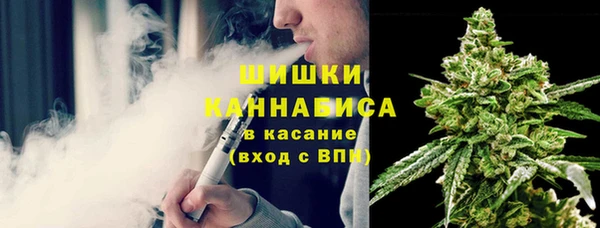 сатива Армянск